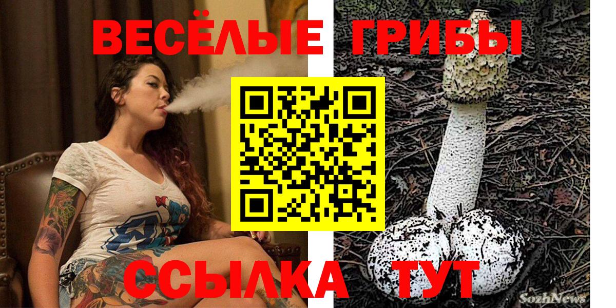 Галлюциногенные грибы Magic Shrooms  где купить   Ульяновск  Вход с VPN  Псилоцибиновые грибы ЛСД 