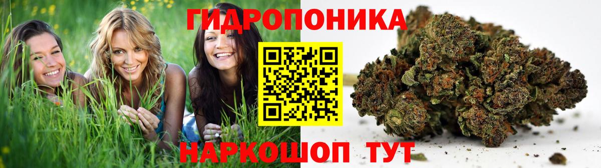 Бошки марихуана ГИДРОПОН  Марихуана Bruce Banner  Марихуана сатива  Марихуана Ganja  Ульяновск  Вход с VPN 